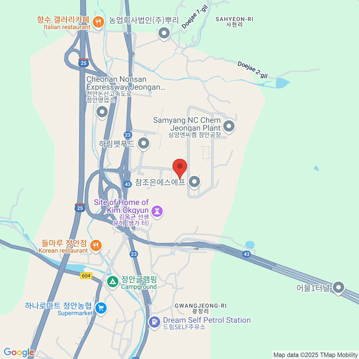 google-map-placeholder-image