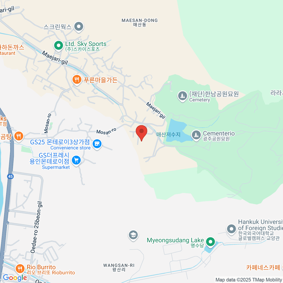 google-map-placeholder-image