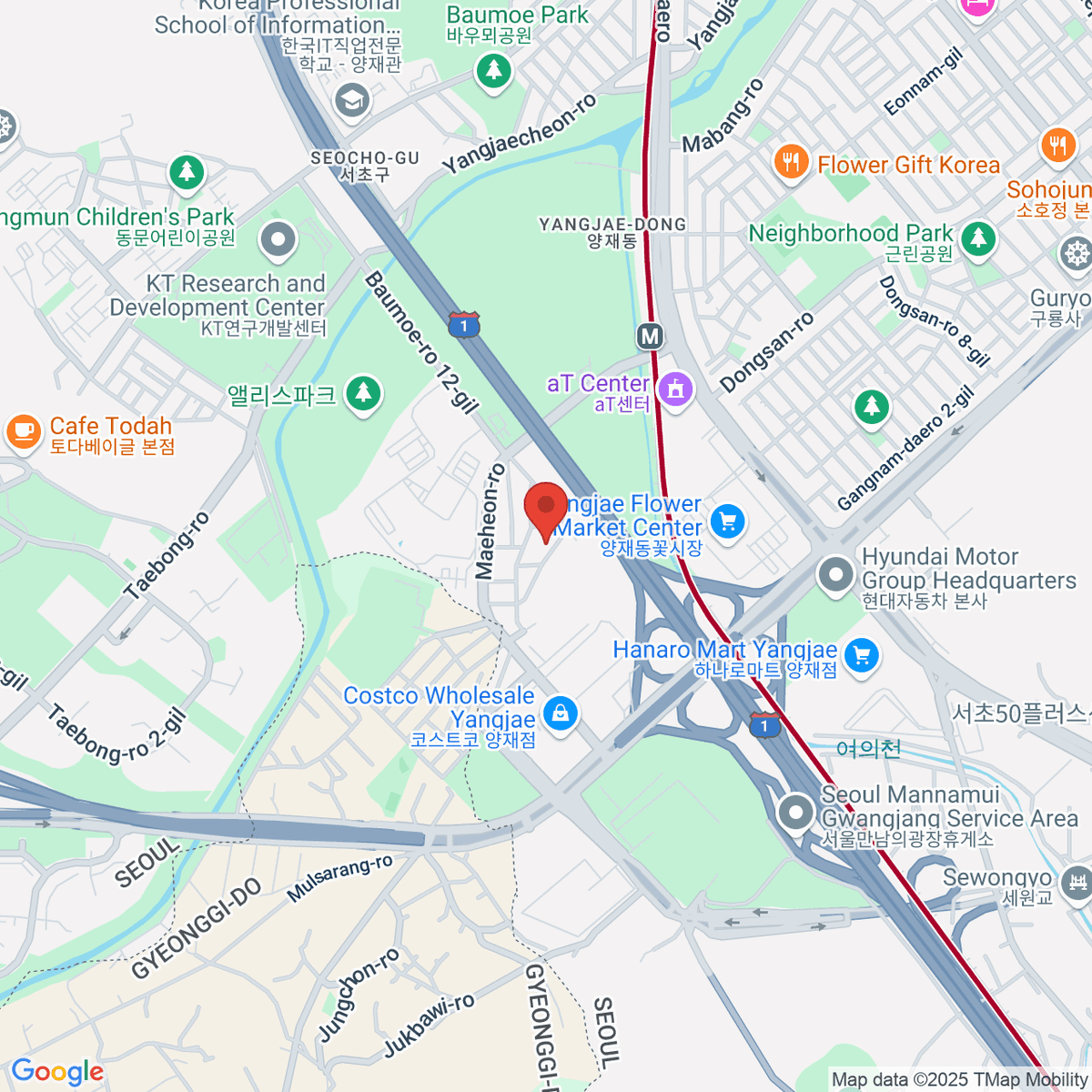 google-map-placeholder-image