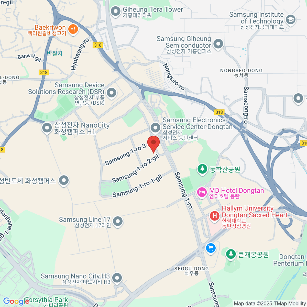 google-map-placeholder-image