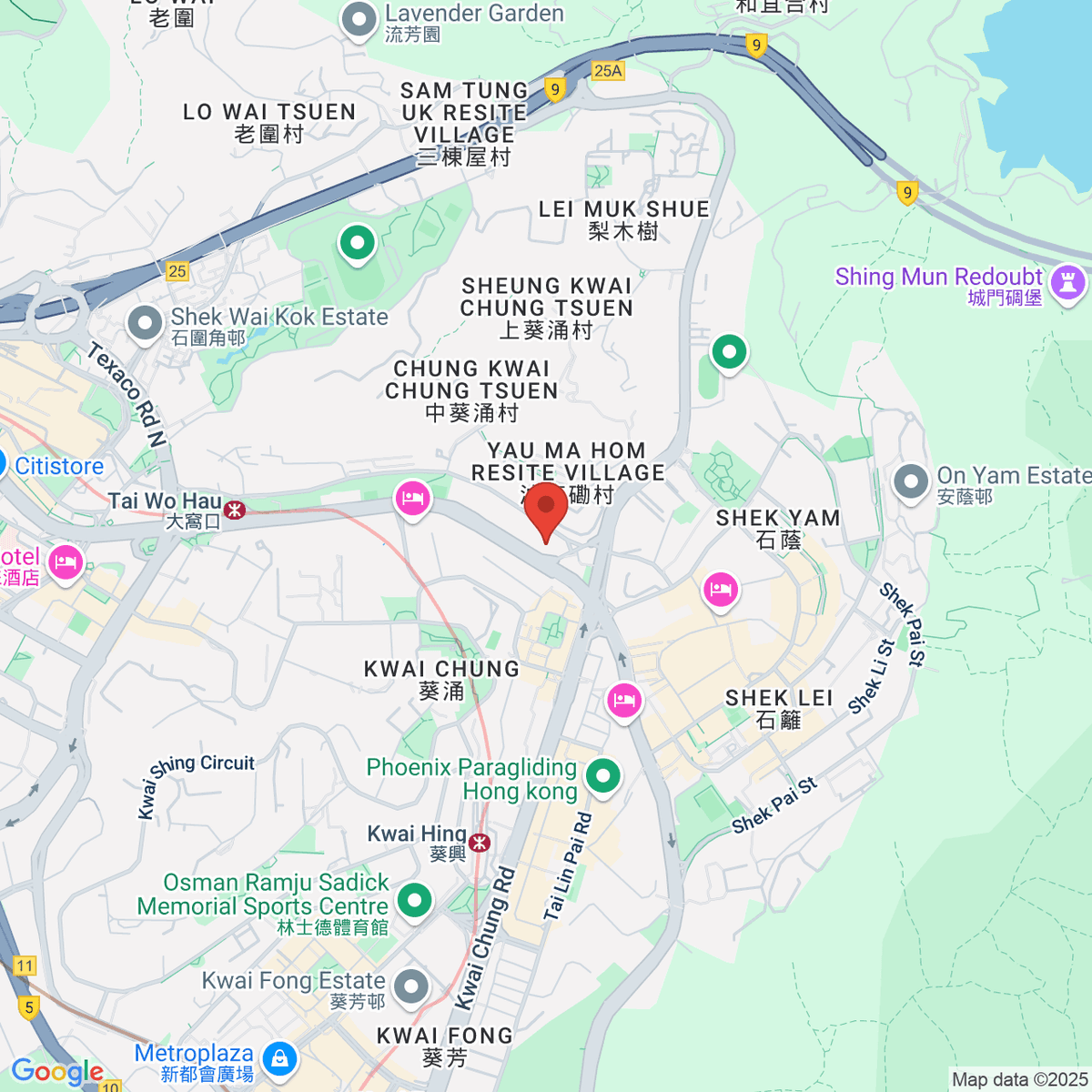 google-map-placeholder-image