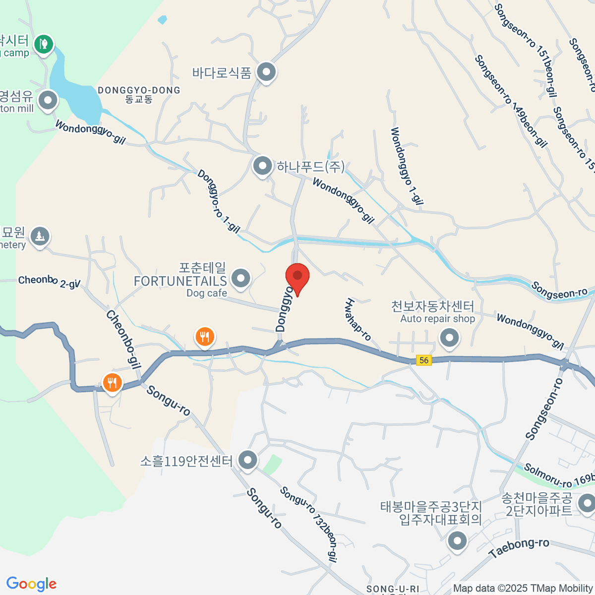 google-map-placeholder-image