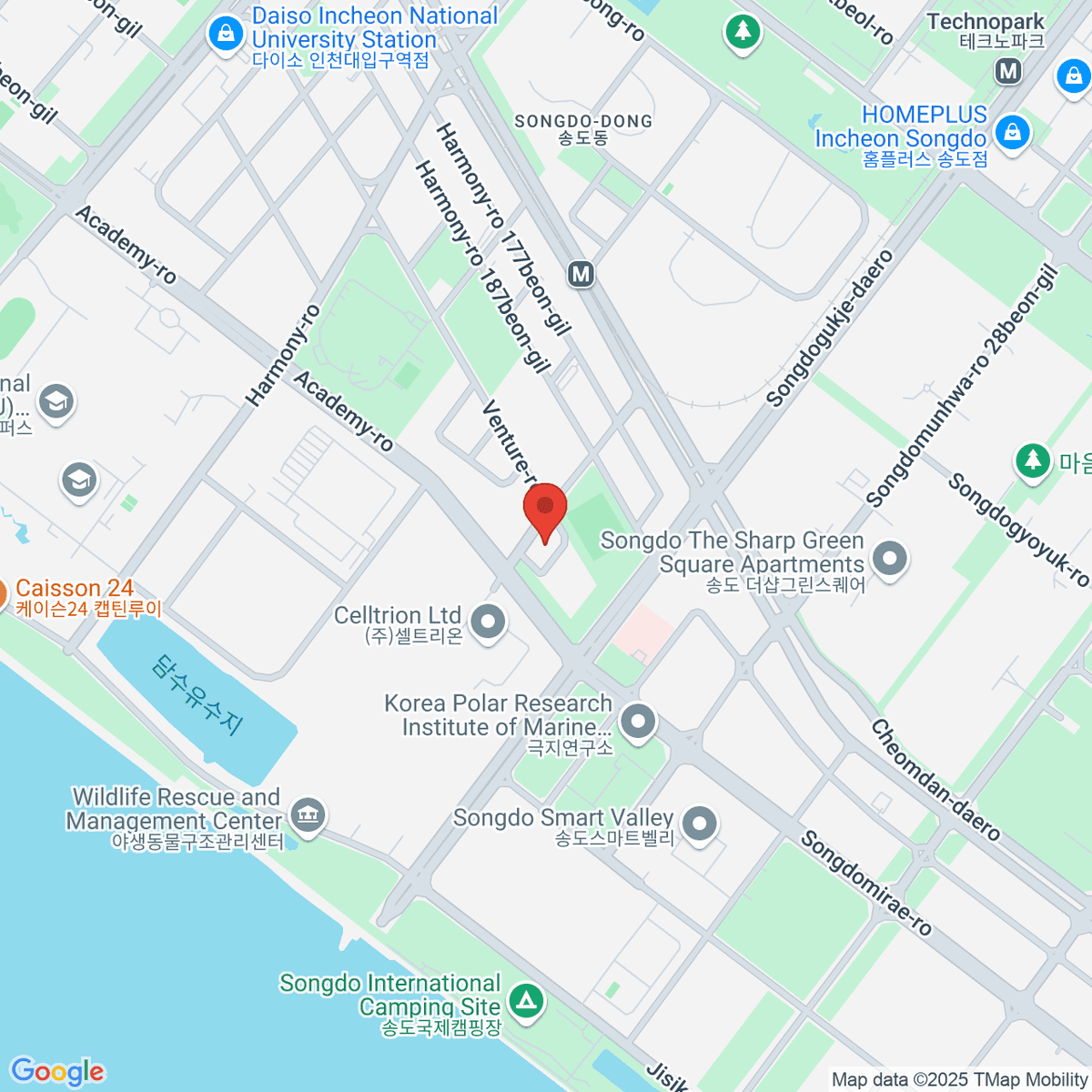 google-map-placeholder-image