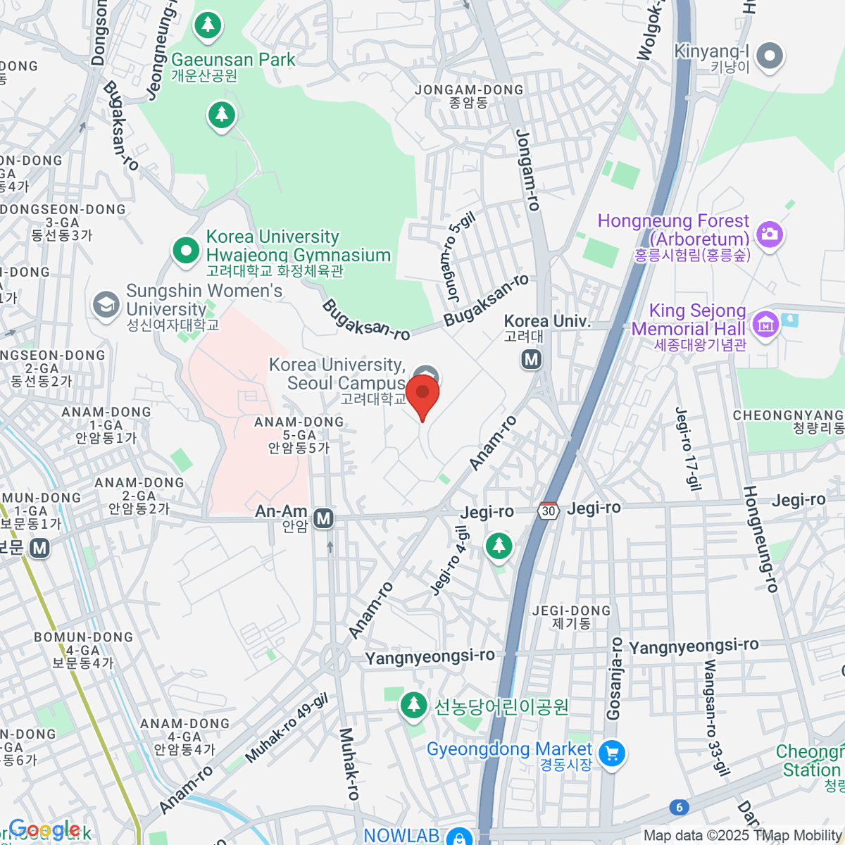 google-map-placeholder-image