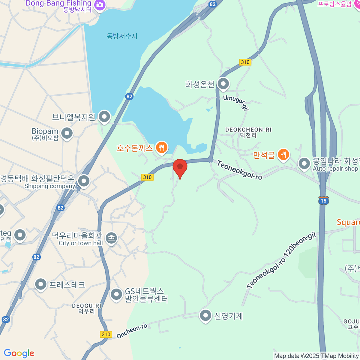 google-map-placeholder-image