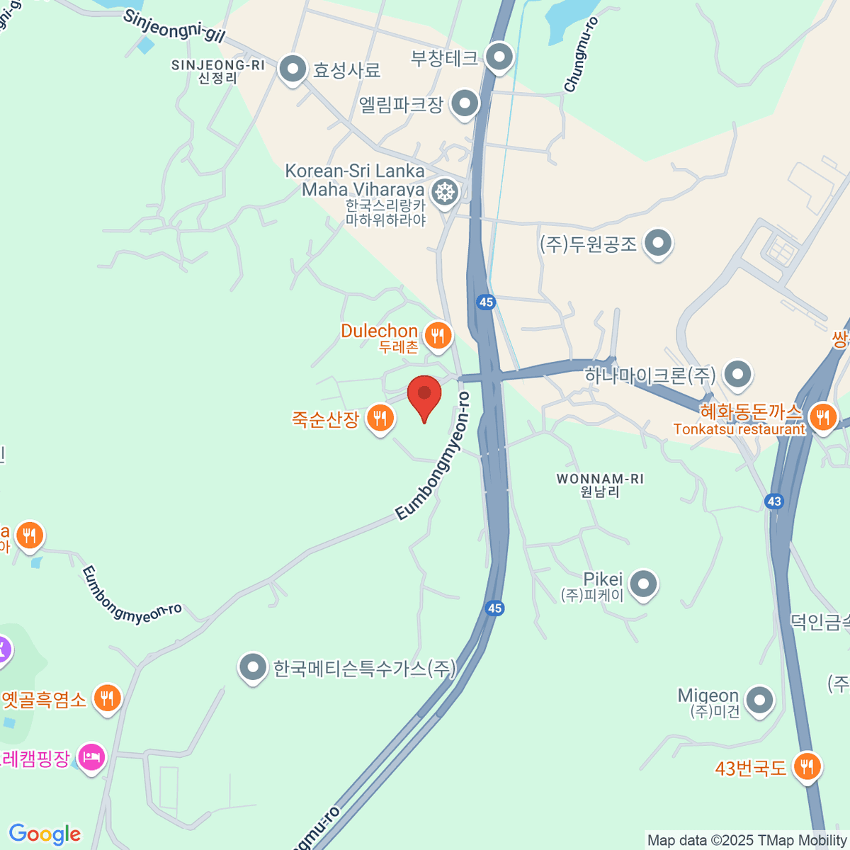 google-map-placeholder-image