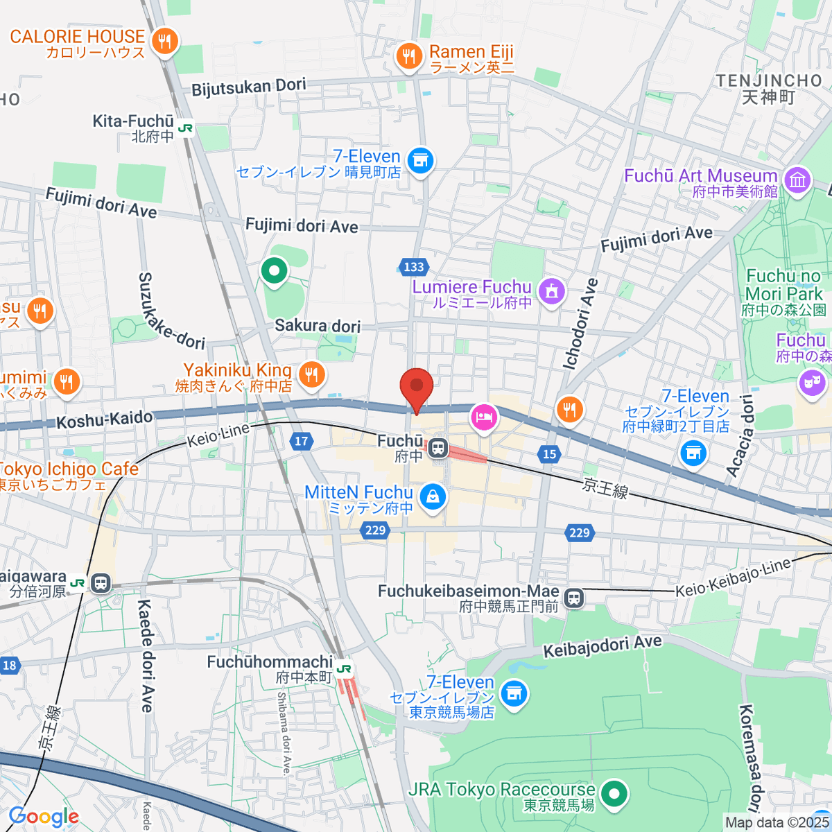 google-map-placeholder-image