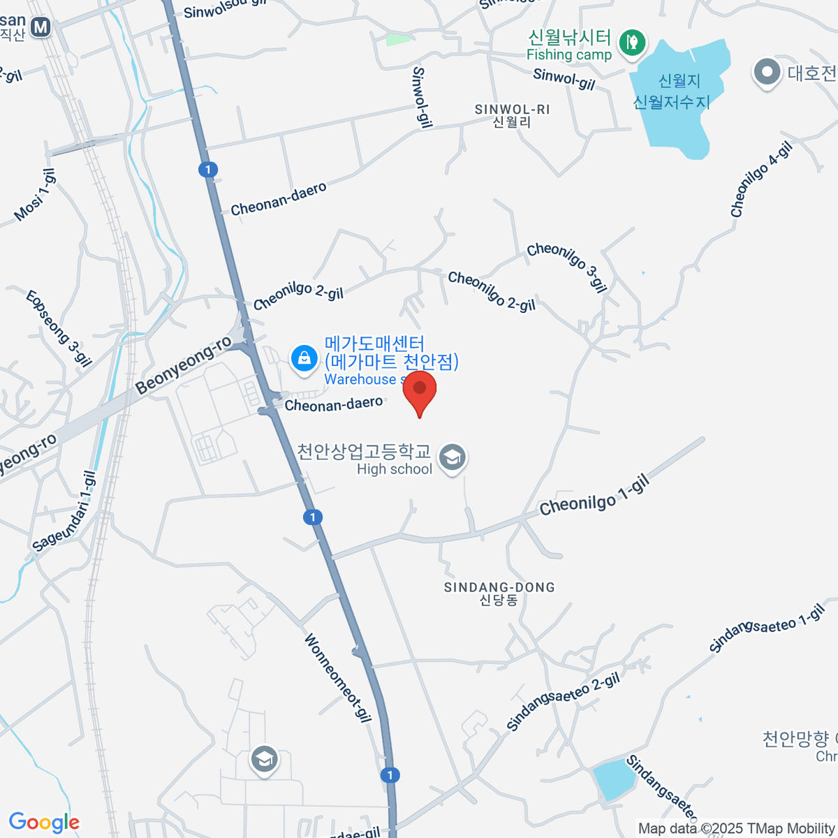 google-map-placeholder-image