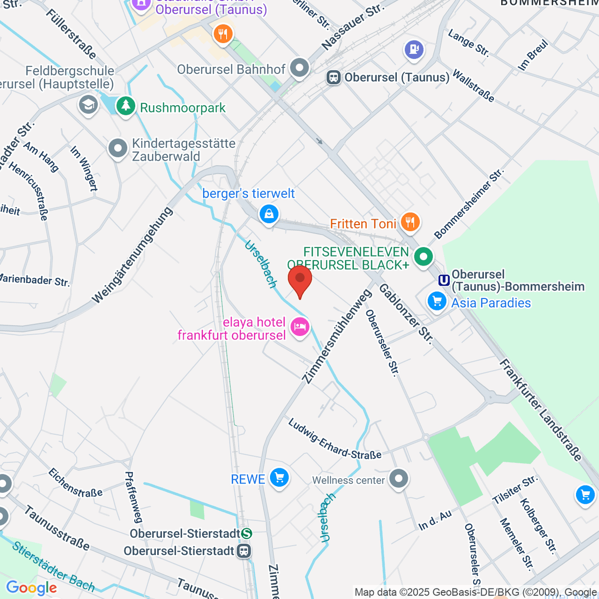 google-map-placeholder-image