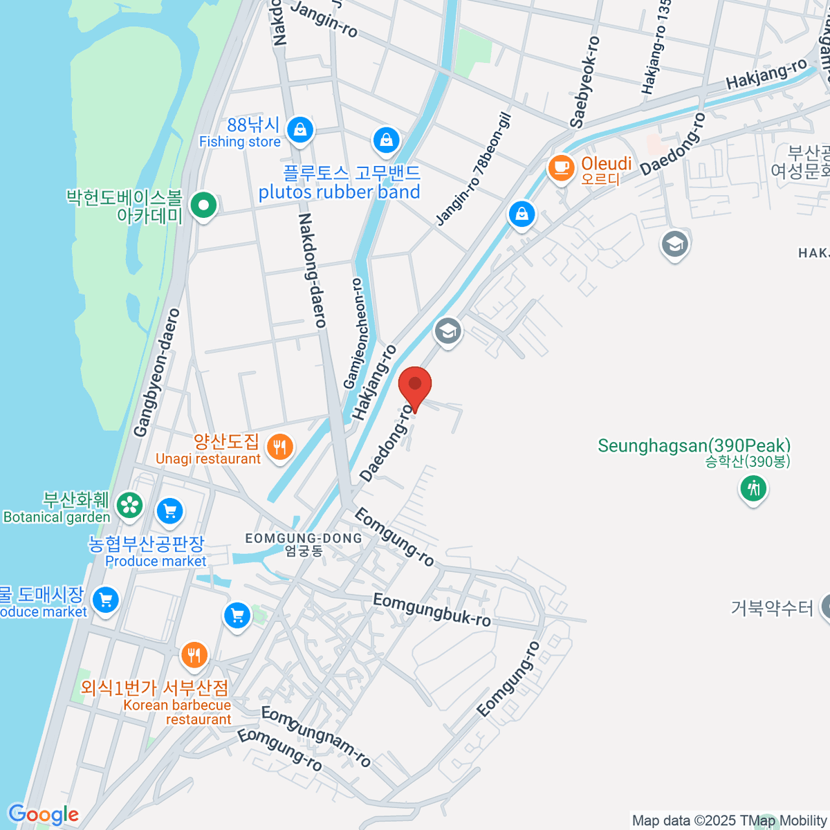 google-map-placeholder-image