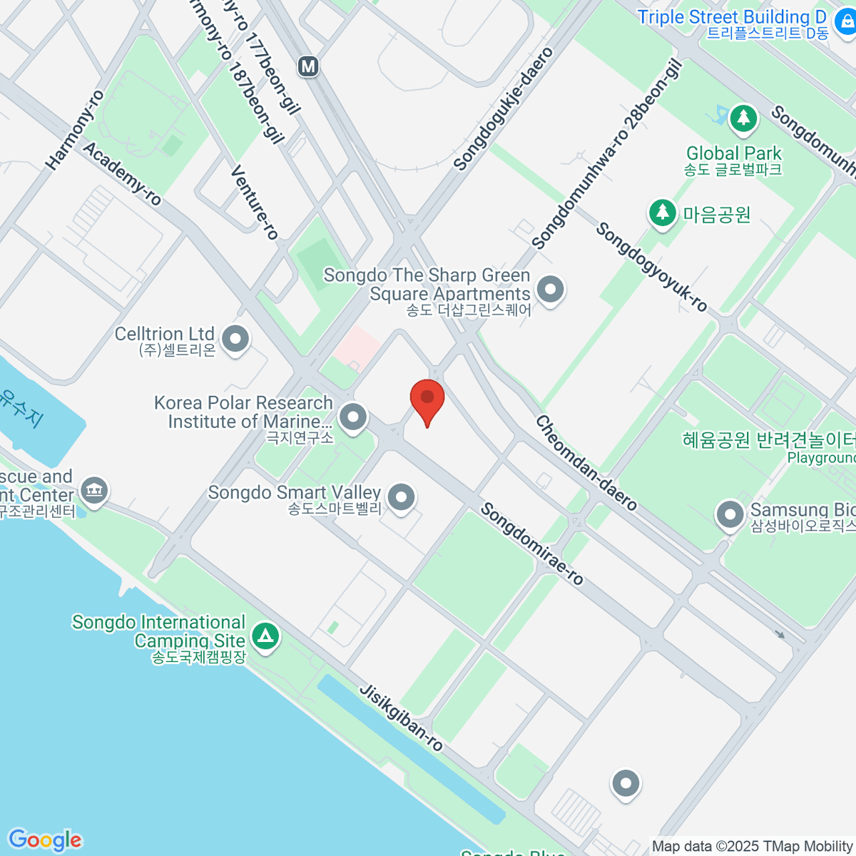 google-map-placeholder-image