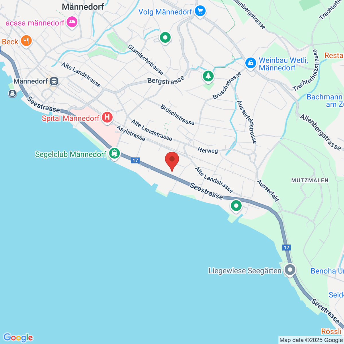 google-map-placeholder-image