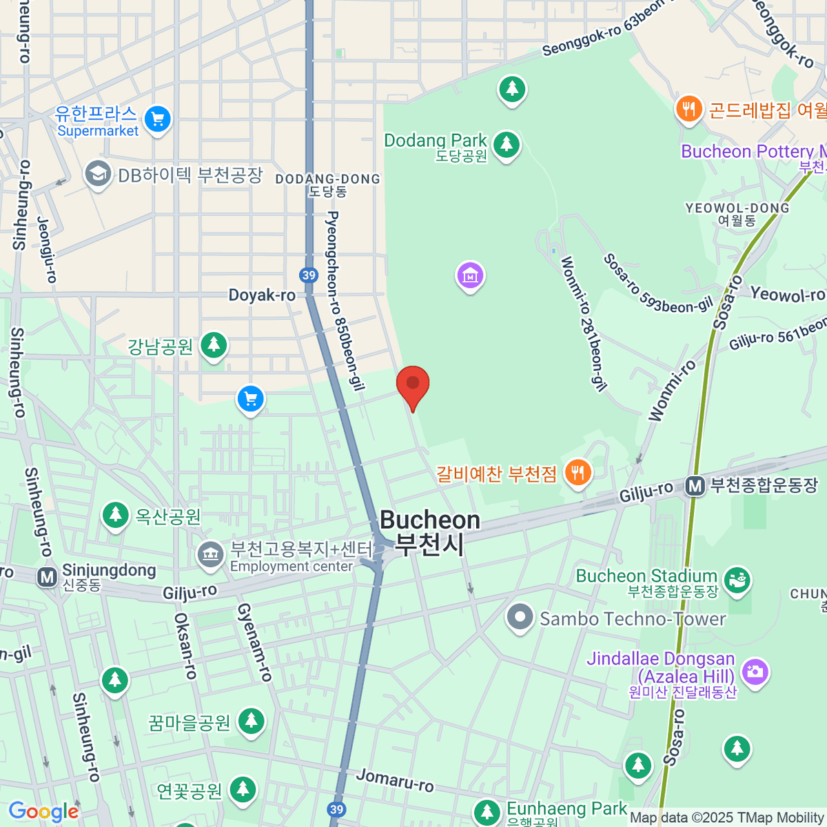 google-map-placeholder-image