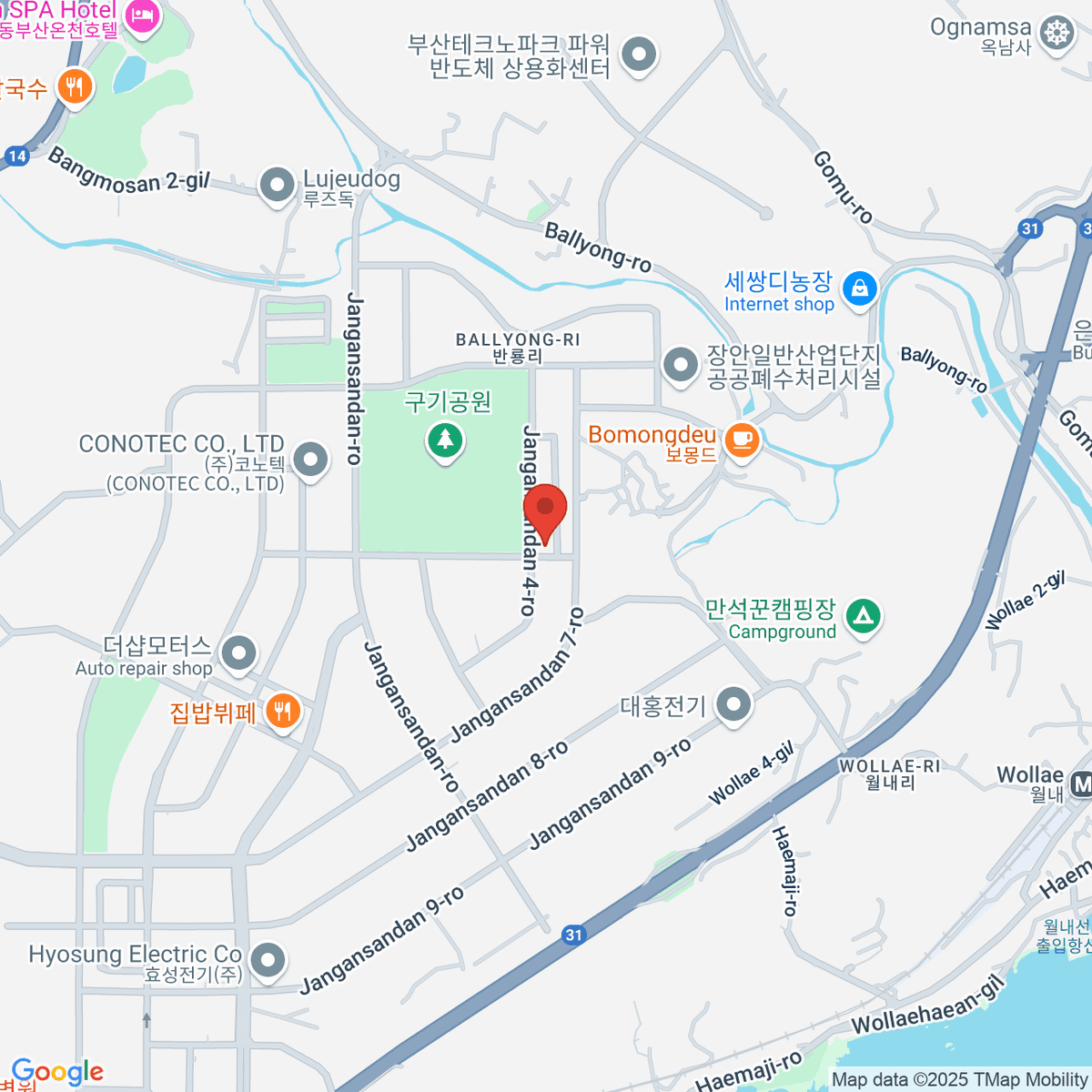 google-map-placeholder-image