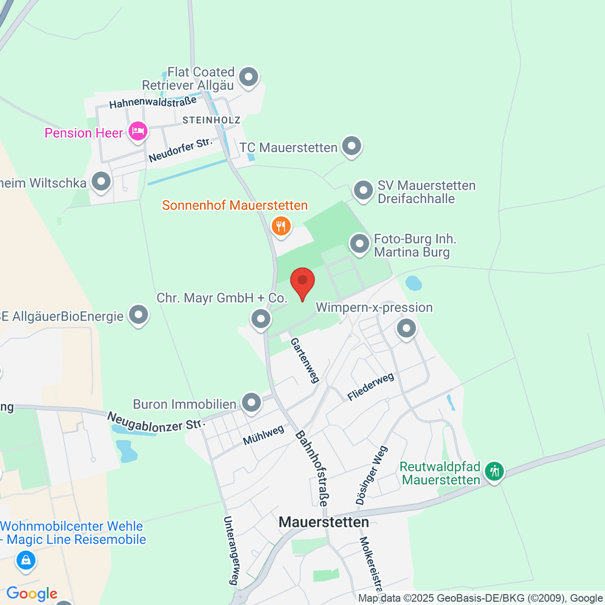 google-map-placeholder-image