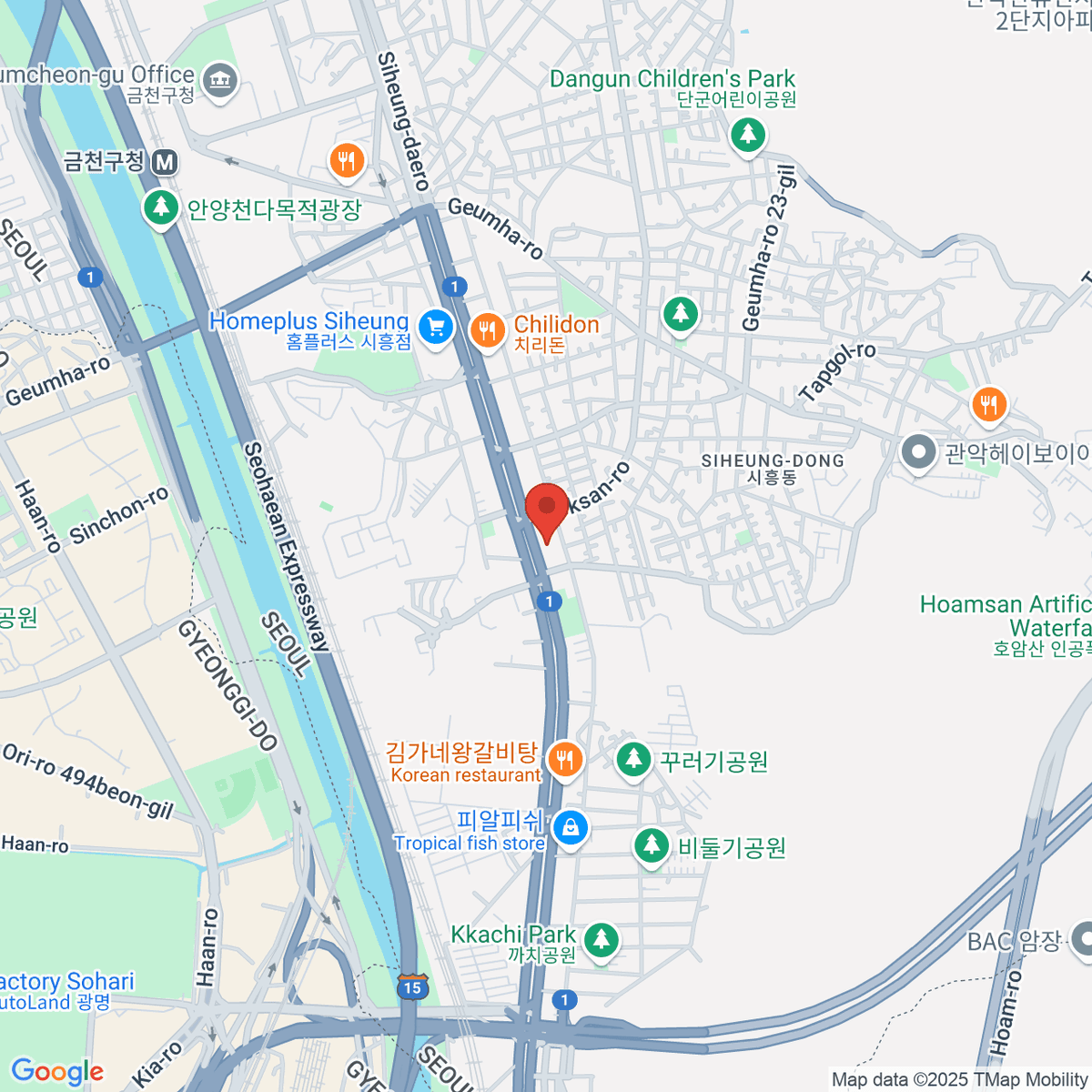 google-map-placeholder-image