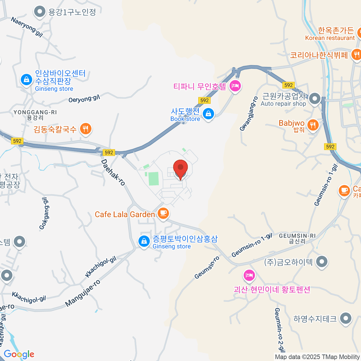 google-map-placeholder-image