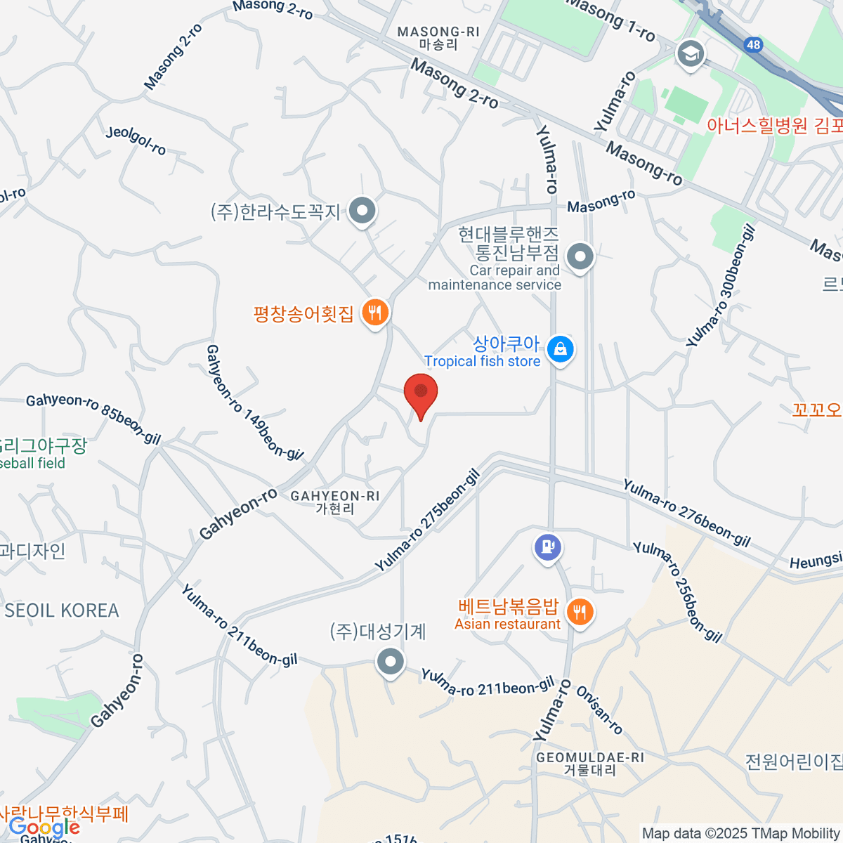 google-map-placeholder-image
