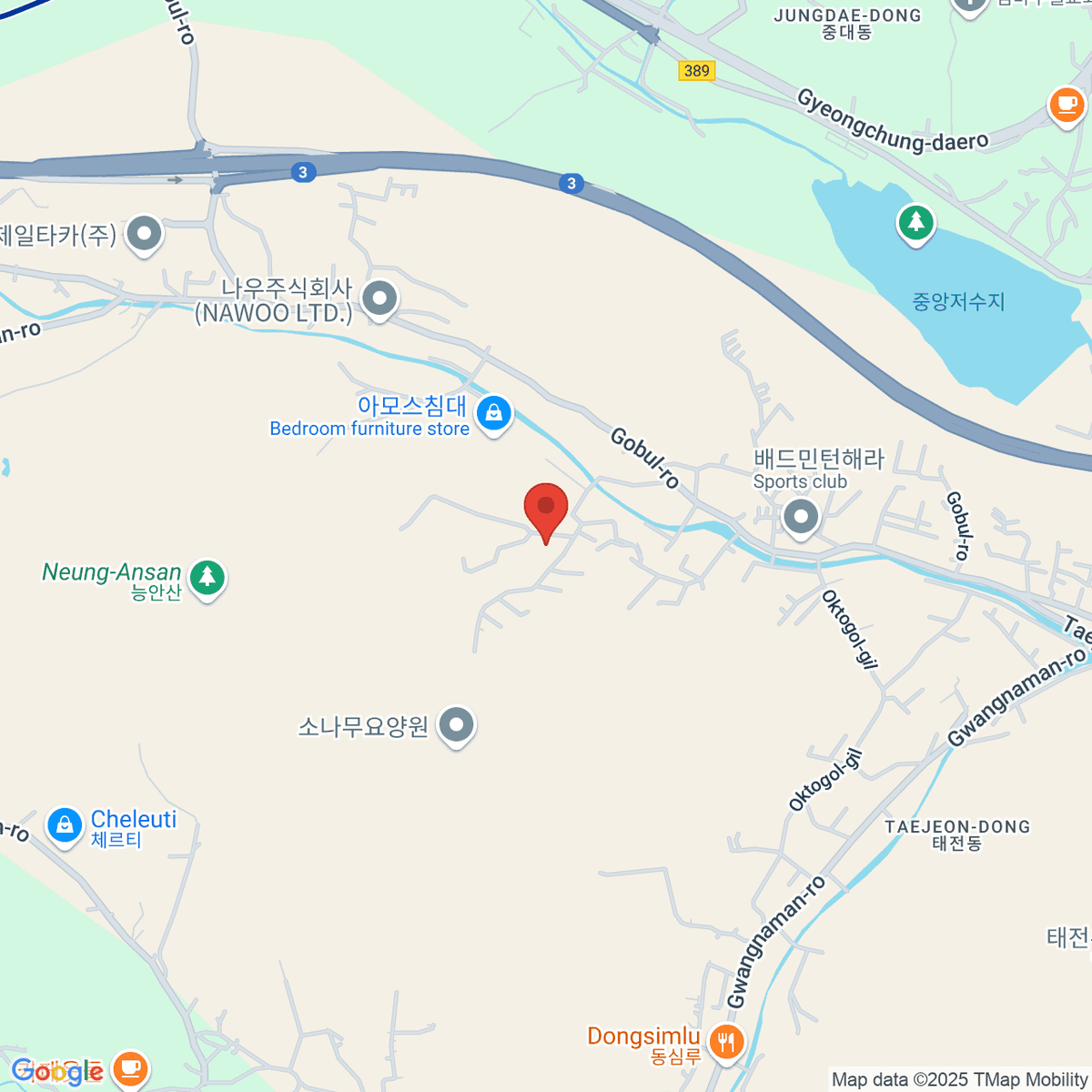 google-map-placeholder-image