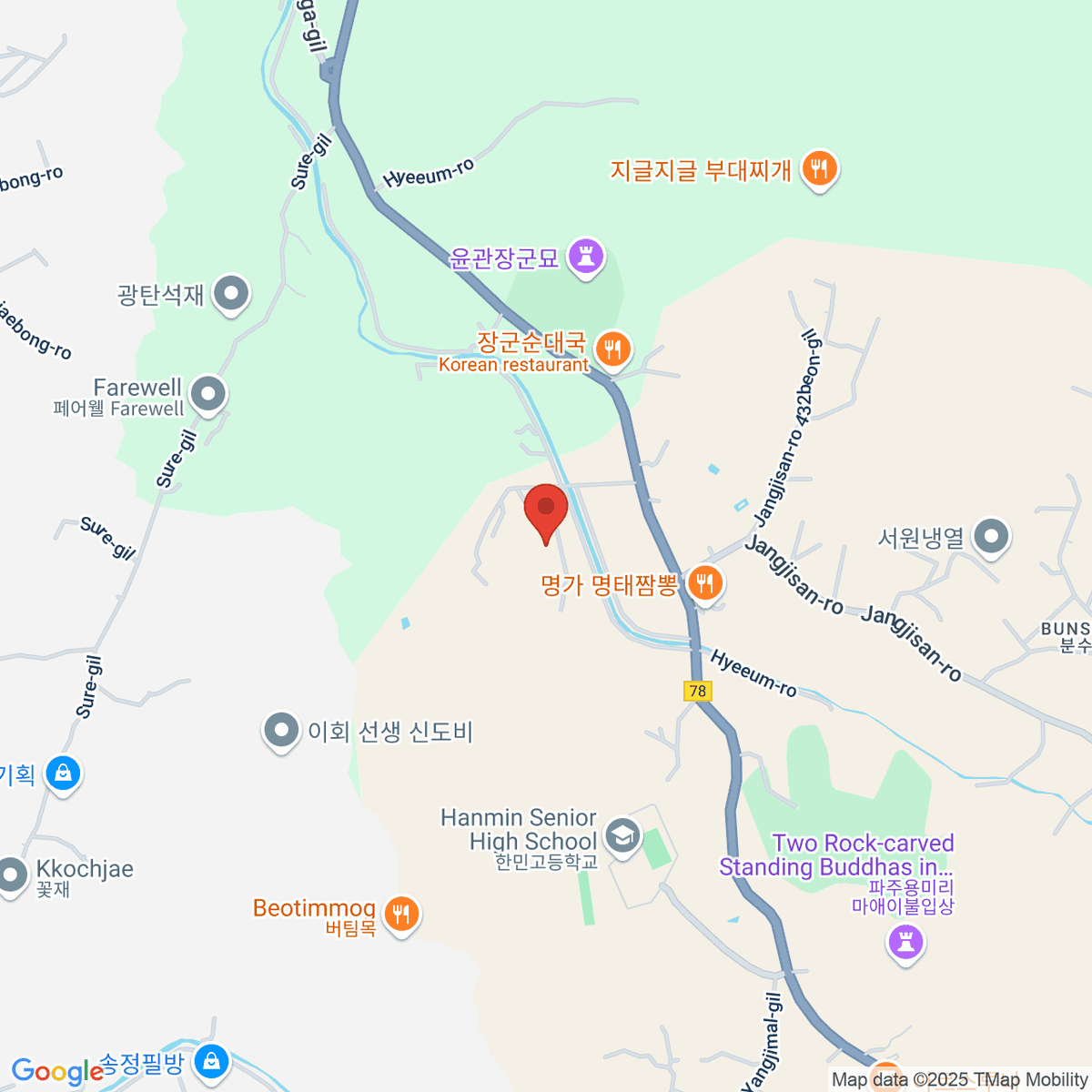 google-map-placeholder-image