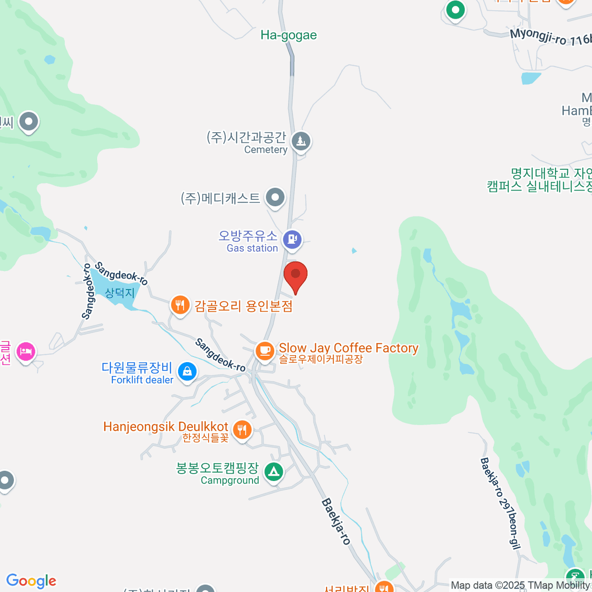 google-map-placeholder-image