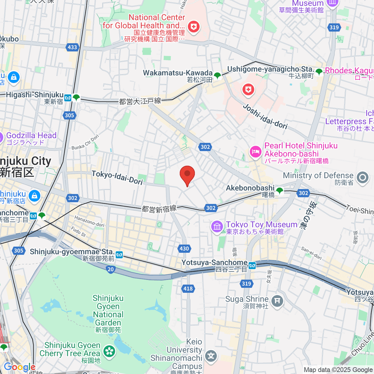 google-map-placeholder-image