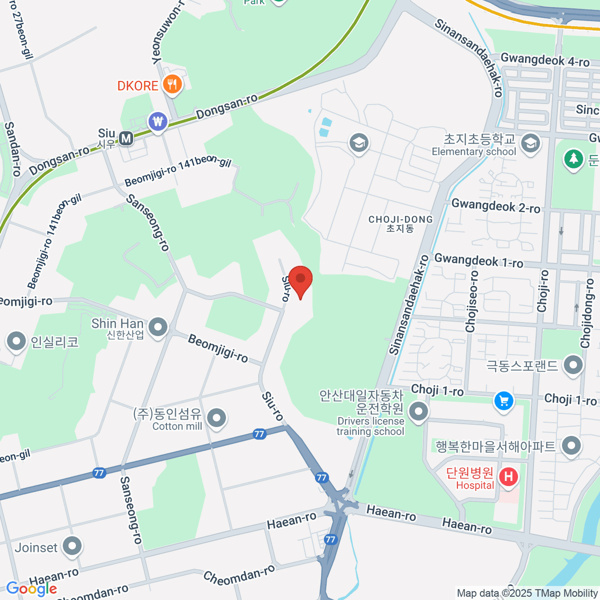 google-map-placeholder-image