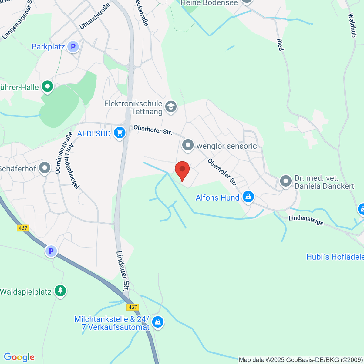google-map-placeholder-image