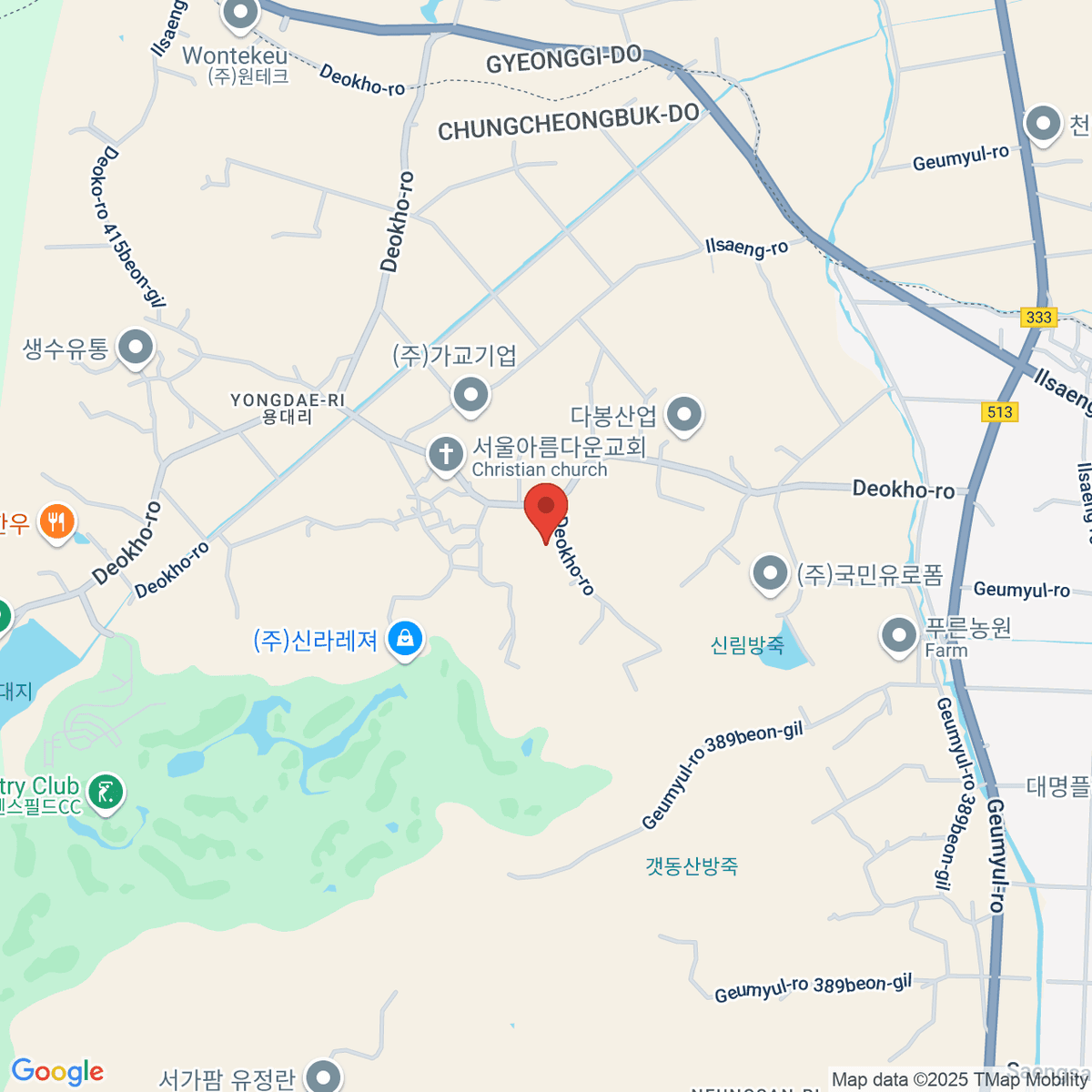 google-map-placeholder-image