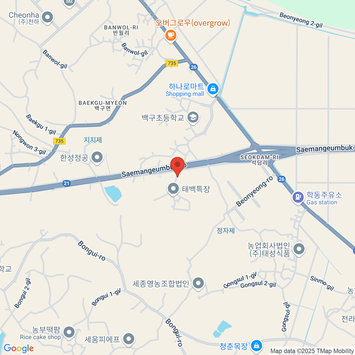 google-map-placeholder-image
