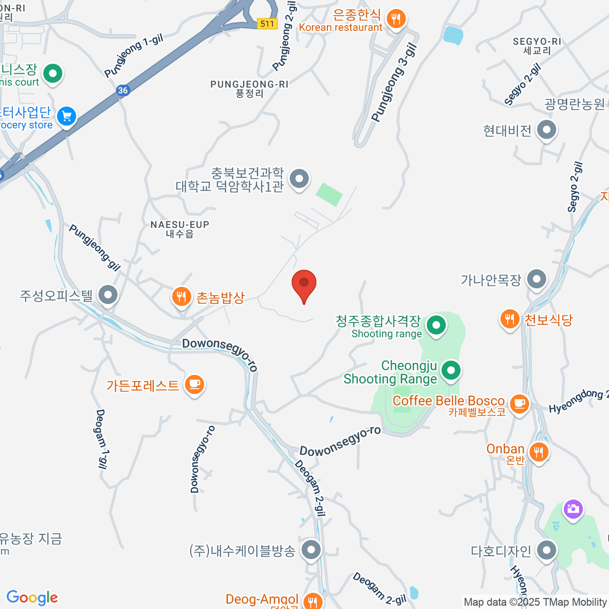 google-map-placeholder-image