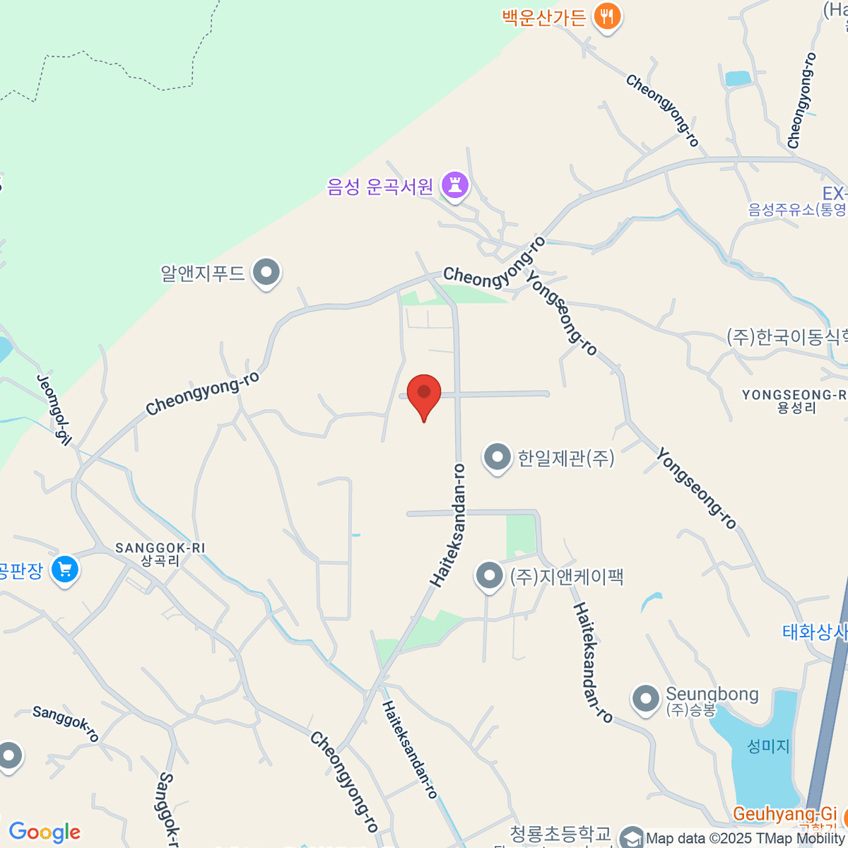 google-map-placeholder-image