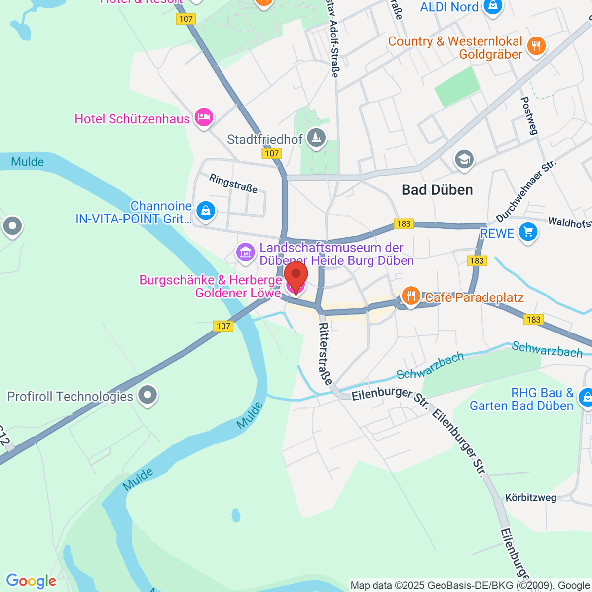 google-map-placeholder-image