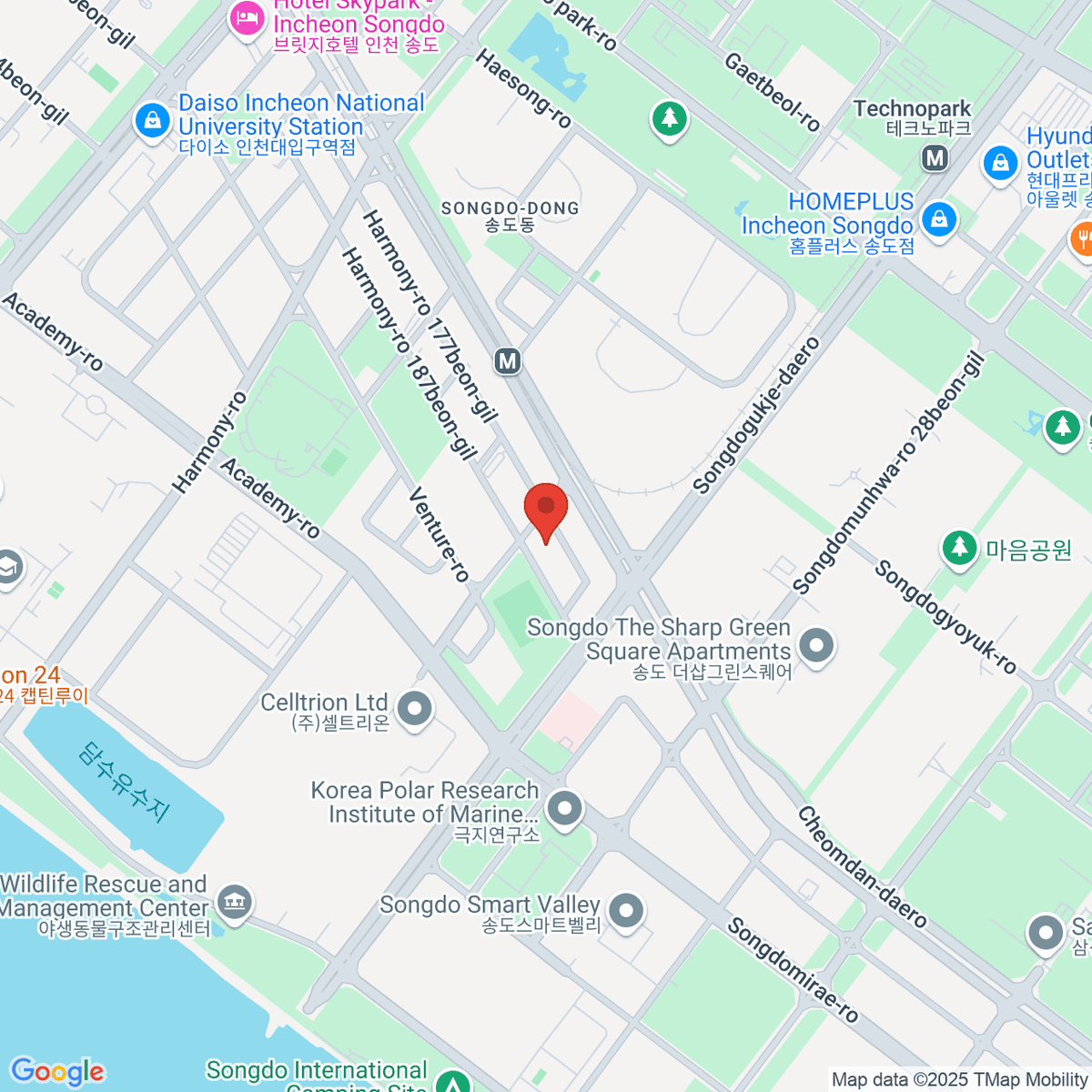 google-map-placeholder-image