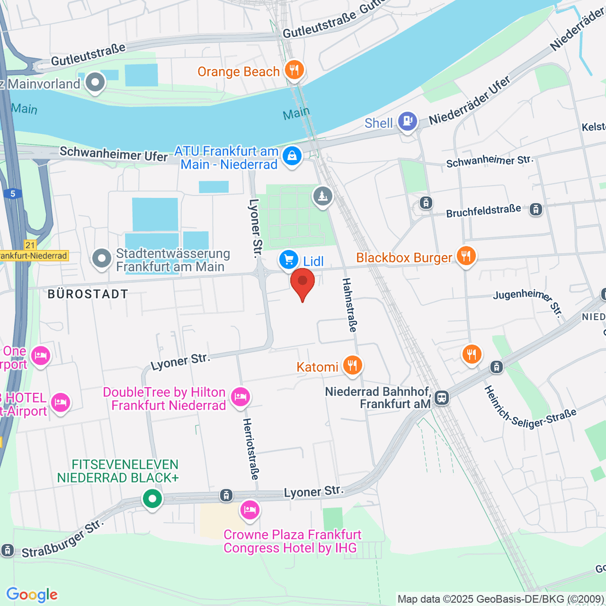 google-map-placeholder-image