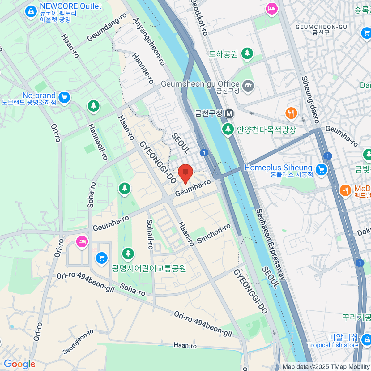 google-map-placeholder-image