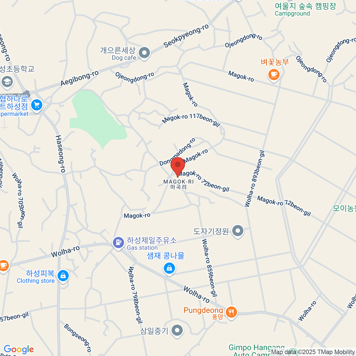 google-map-placeholder-image