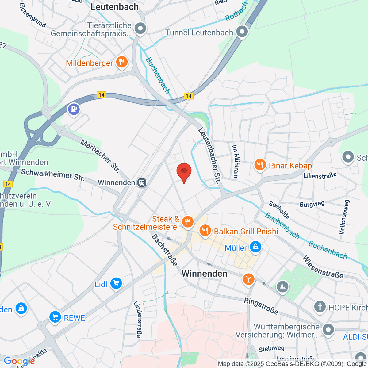 google-map-placeholder-image