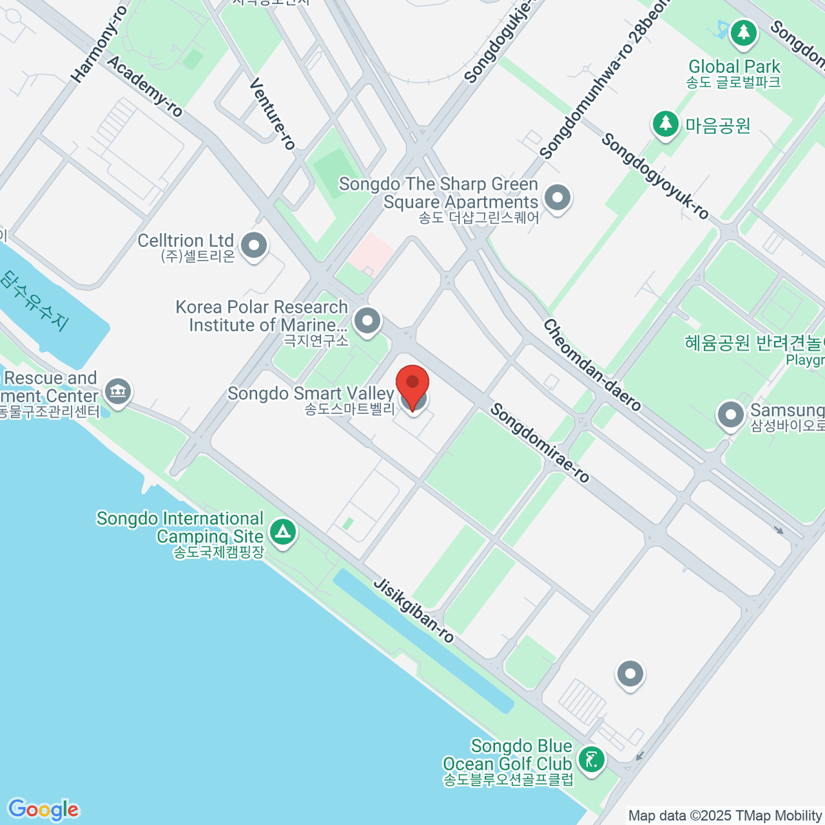 google-map-placeholder-image