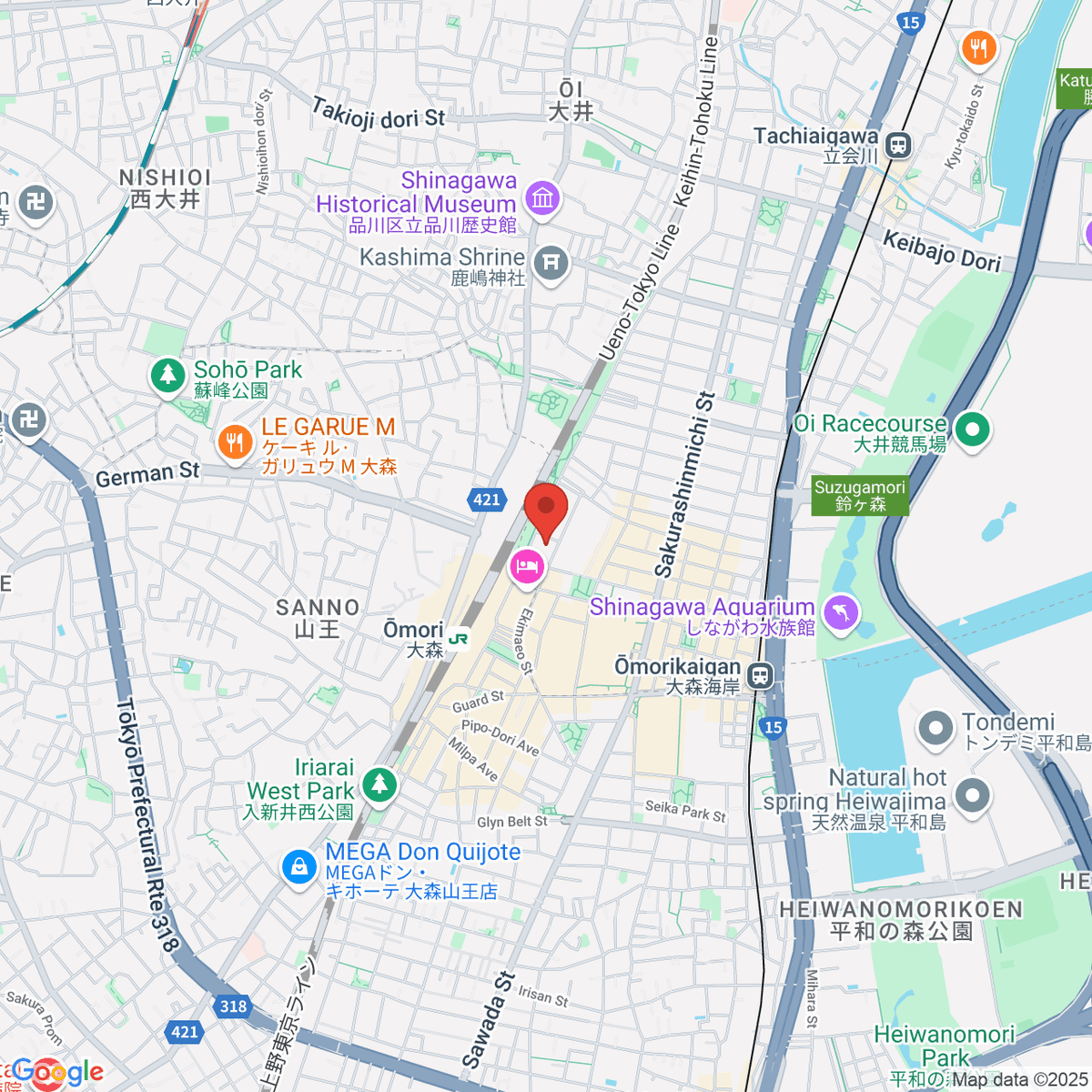 google-map-placeholder-image