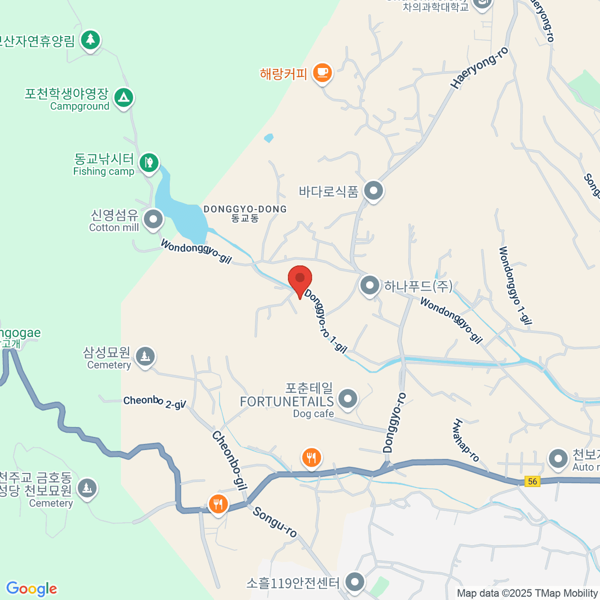 google-map-placeholder-image