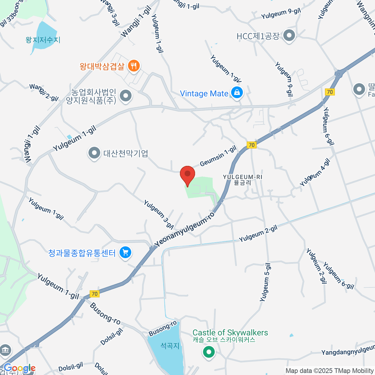 google-map-placeholder-image