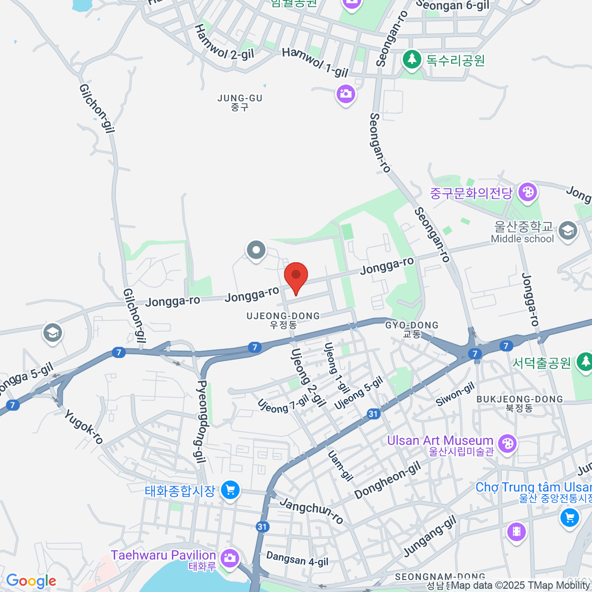 google-map-placeholder-image