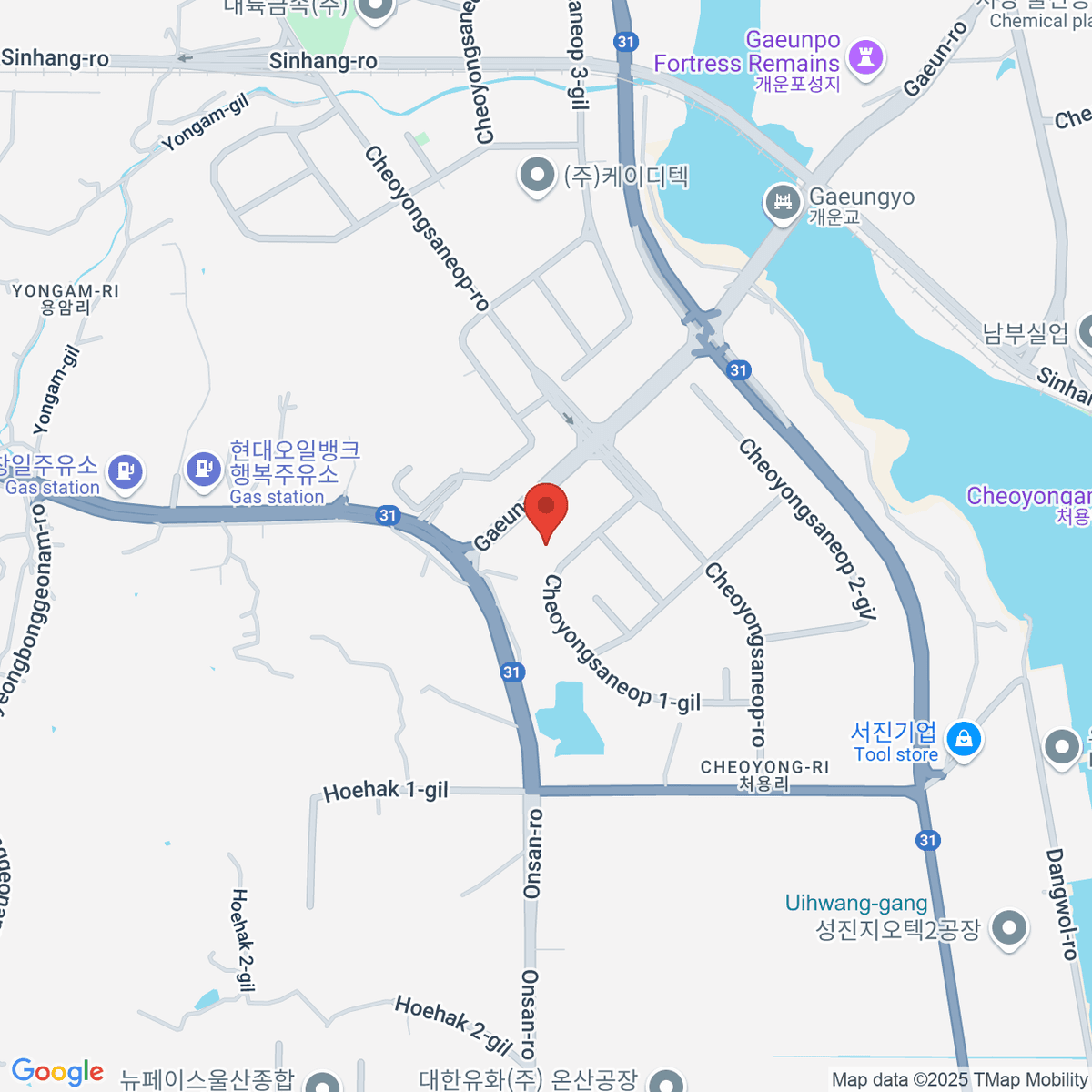 google-map-placeholder-image