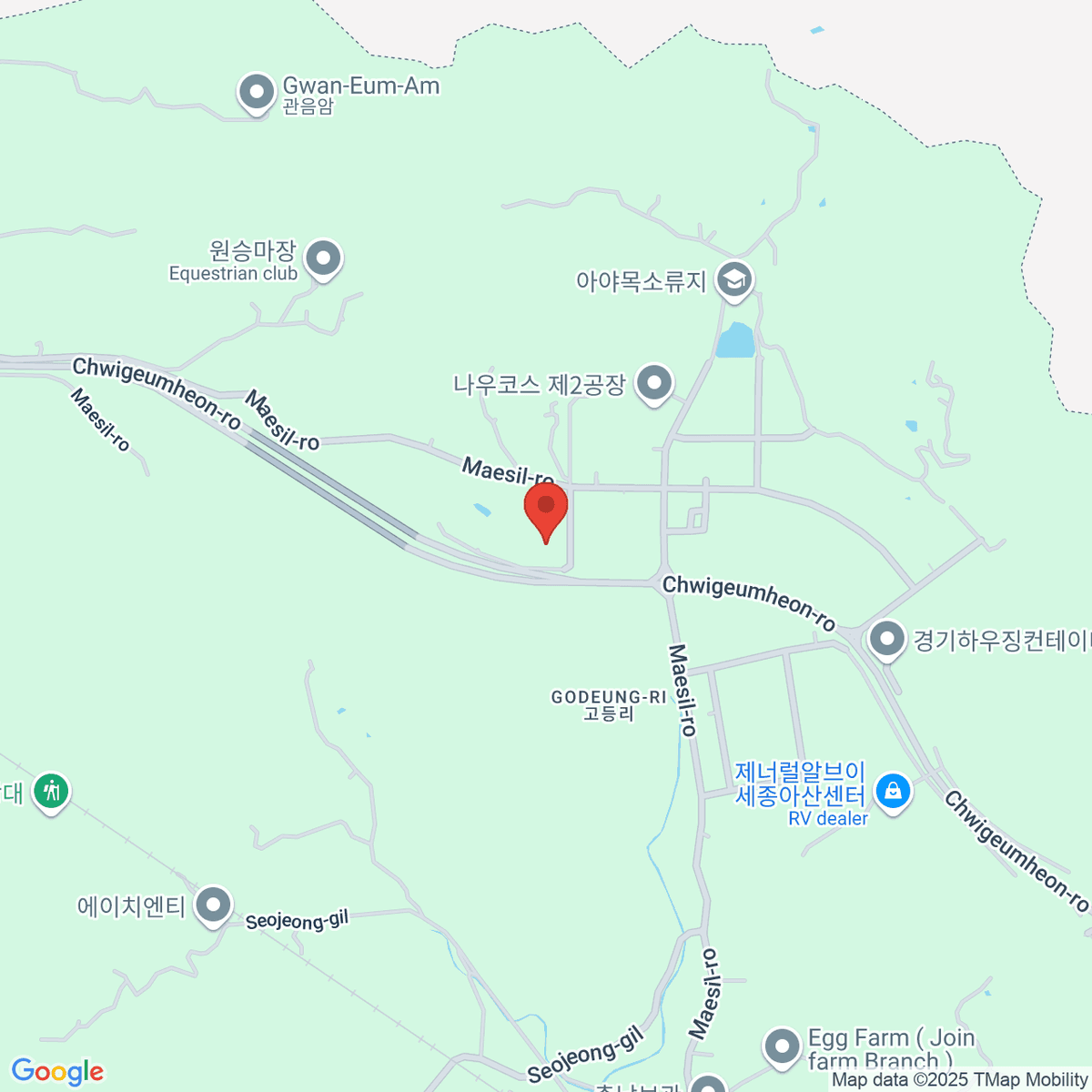 google-map-placeholder-image