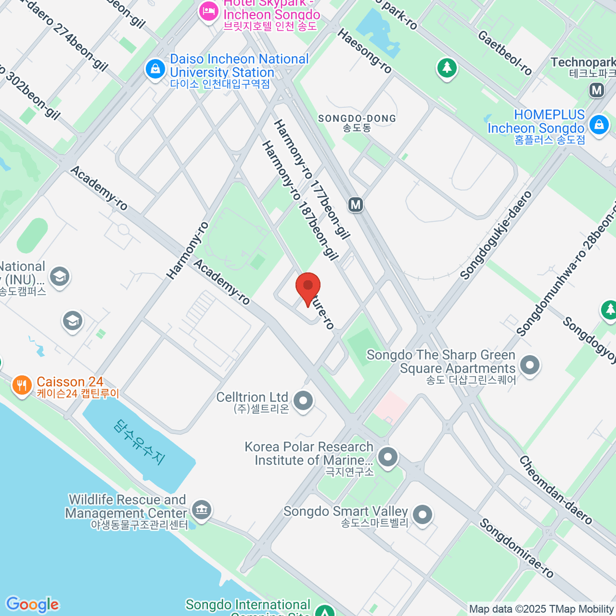 google-map-placeholder-image