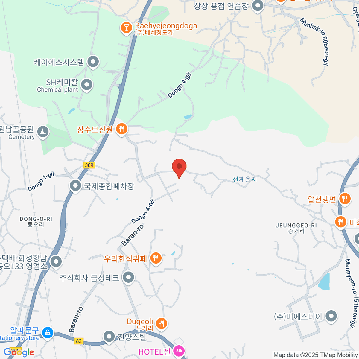 google-map-placeholder-image