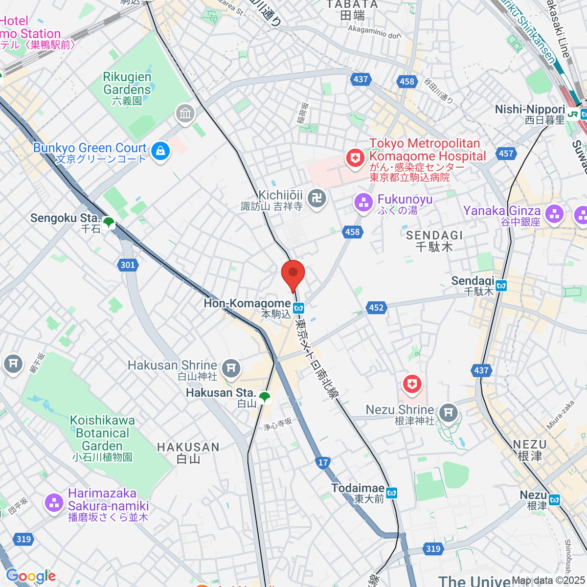 google-map-placeholder-image
