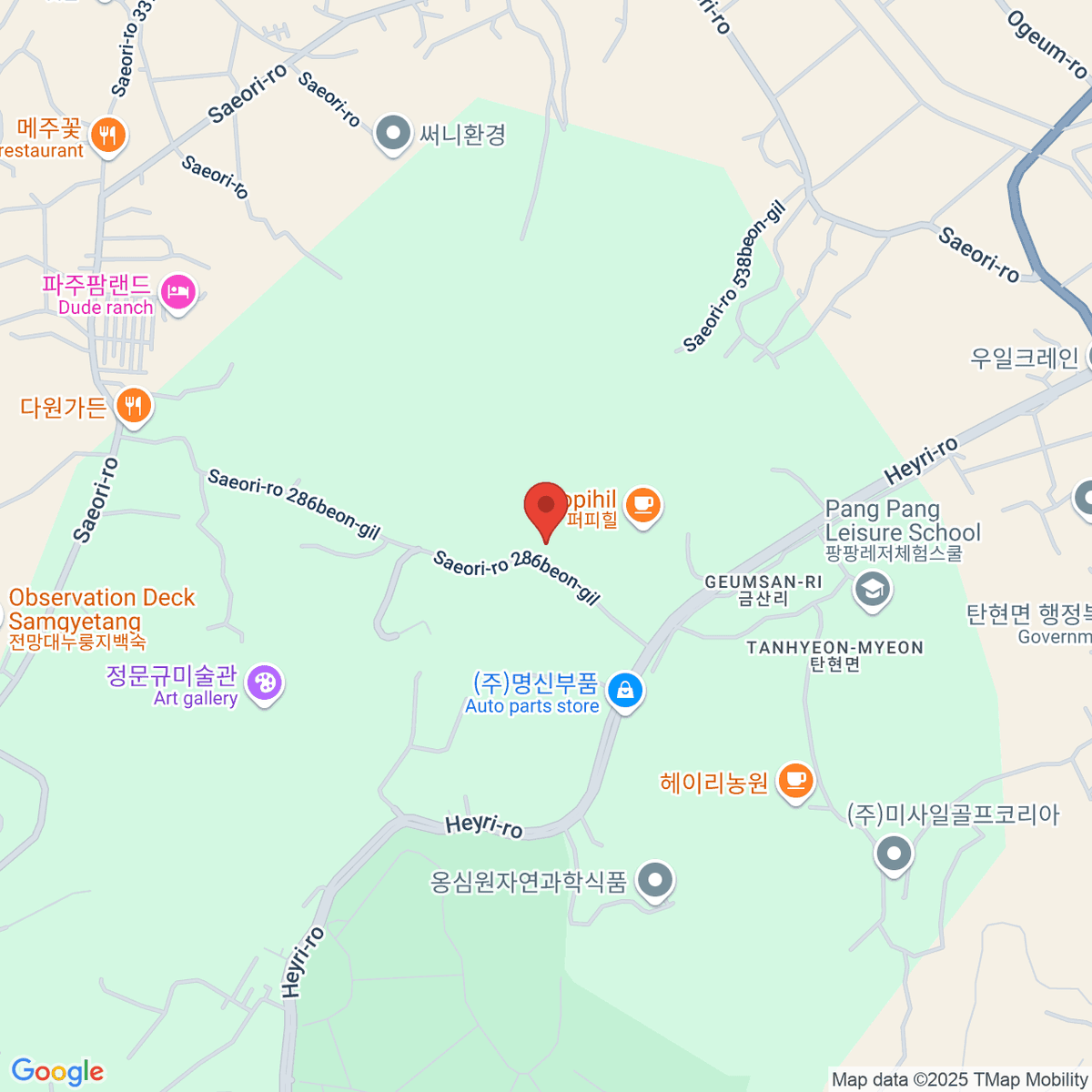 google-map-placeholder-image