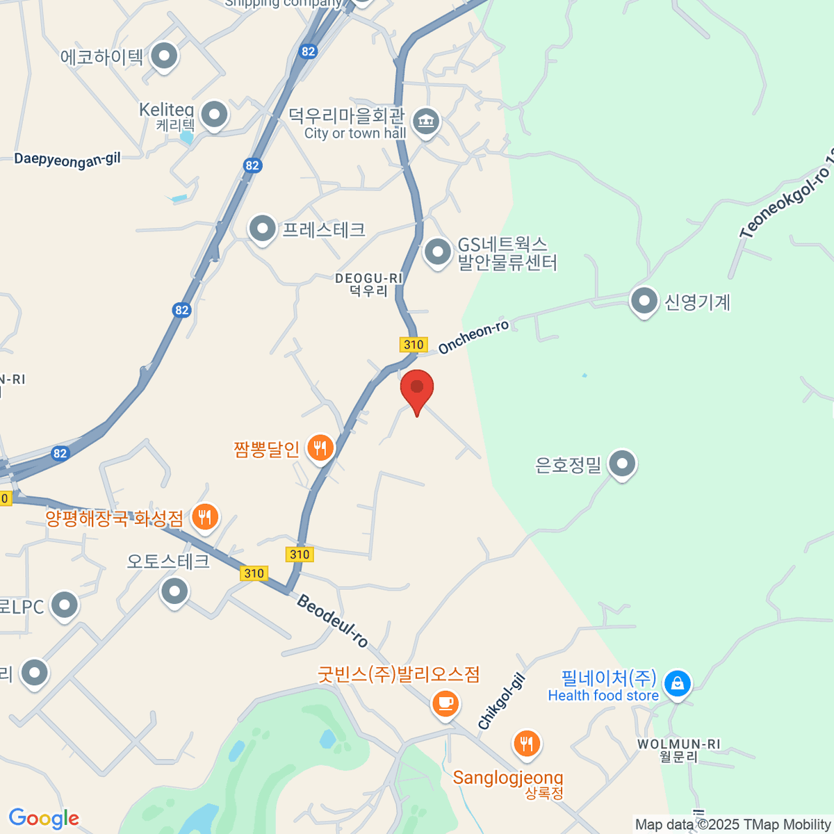 google-map-placeholder-image